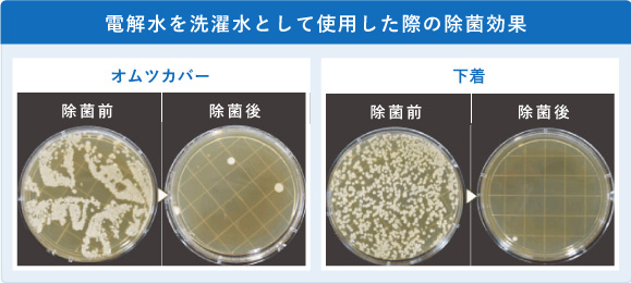 電解水を洗濯水として使用した際の除菌効果